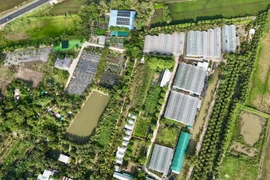 Le tourisme à la ferme, une tendance en plein essor au Vietnam 