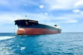 Hòa Phat a récemment mis en service le navire de charge The Momentum, d’une capacité de 110.000 DWT. Photo: VNA