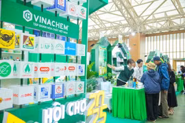 Avec plus de 3 000 stands nationaux et internationaux, la Foire d’Automne 2025 réunit des entreprises de 34 pays, illustrant le dynamisme et l’ouverture de l’économie vietnamienne. Photo: VNA