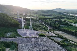 Un tronçon du projet de ligne 500 kV - circuit 3. Photo: VNA