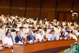 Ouverture de la conférence nationale pour la diffusion de la Résolution n° 10-NQ/TW du Bureau politique. Photo: VNA