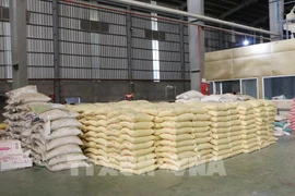 Le Premier ministre ordonne des mesures pour développer la production et l’exportation de riz. Photo: VNA