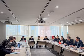 Lors de la séance de travail entre la délégation de la Cour populaire suprême du Vietnam et le ministère singapourien de la Justice. Photo: VNA