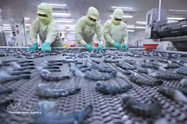 Les exportations de produits aquatiques progressent de 8 % au premier trimestre