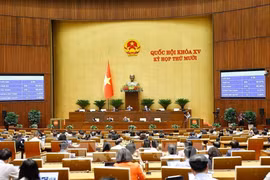 L’Assemblée nationale adopte le budget prévisionnel de l'État pour 2026. Photo: VNA