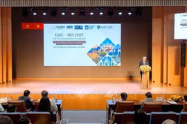 13ᵉ Conférence internationale de l'Association internationale pour le calcul statistique – Section Régionale Asiatique à Hô Chi Minh-Ville. Photo: VNA
