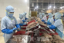 Pour exploiter pleinement le potentiel du marché européen, le secteur agricole vietnamien doit surmonter d'importantes barrières en matière de normes techniques, de qualité, de logistique et proposer une stratégie de développement des produits. Photo: VNA