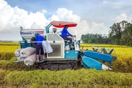 L’une des mesures efficaces pour accélérer la mise en œuvre du projet est l’application des technologies numériques et vertes. Photo: tuoitre.vn