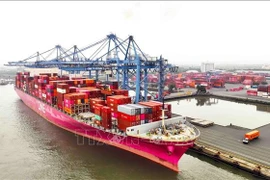 Le port de Cai Mep-Thi Vai est le seul pôle portuaire du Vietnam capable d'accueillir des porte-conteneurs d'une capacité supérieure à 200.000 TPL. Photo : VNA