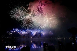 Le Festival international de feux d'artifice de Dà Nang (DIFF) 2025, placé sous le thème "Da Nang – La nouvelle ère montante", se tient du 31 mai au 12 juillet. Photo: VNA