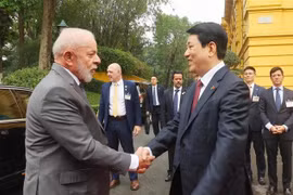 Le président du Vietnam, Luong Cuong (droite), et son homologue brésilien, Lula da Silva. Photo: VNA