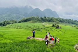 Zone du tourisme communautaire de Pu Luong, province de Thanh Hoa. Photo: VNA