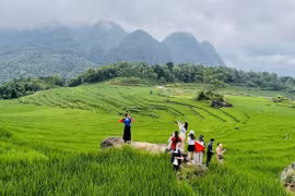 Zone du tourisme communautaire de Pu Luong, province de Thanh Hoa. Photo: VNA