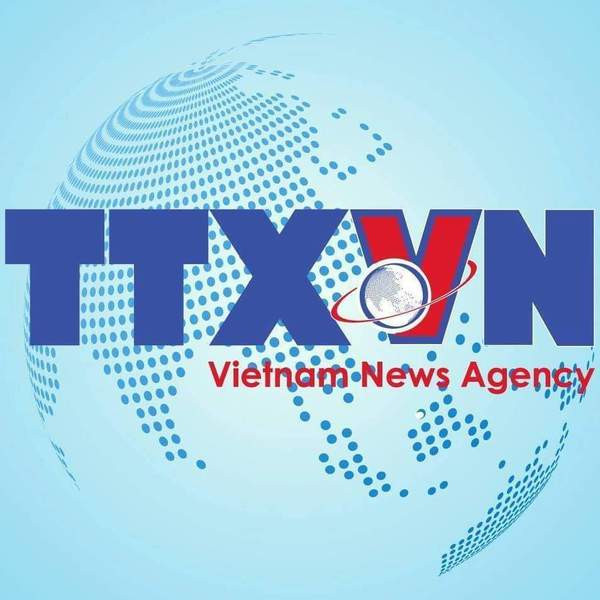 Efforts pour retrouver les pilotes après le crash de l'avion militaire à Binh Dinh 