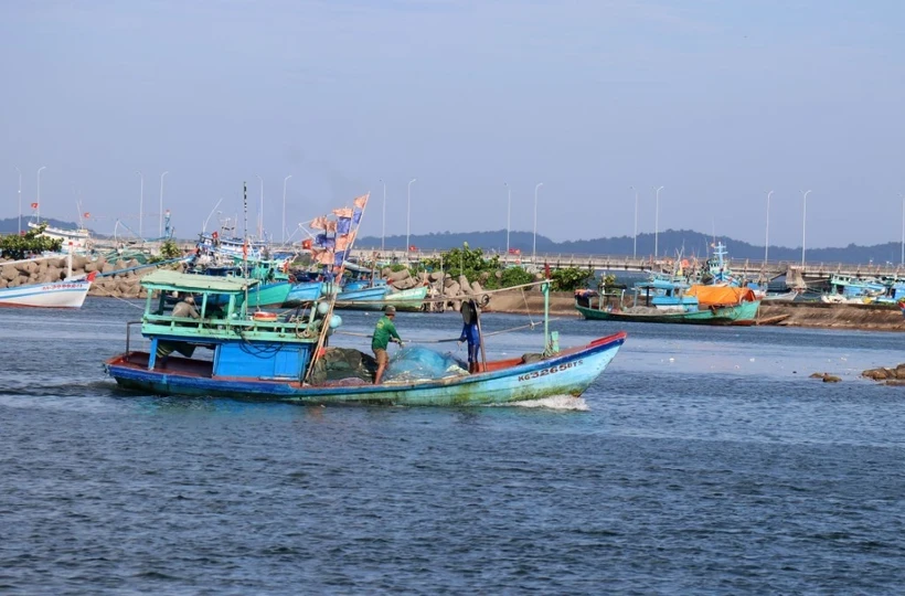 Ba Ria - Vung Tau lance une nouvelle campagne de lutte contre la pêche INN. Photo: VNA