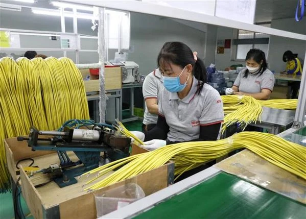 Chaîne de production de la Sarl Nienyi Việt Nam. Photo: VNA