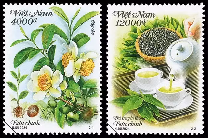 Deux échantillons de timbres présentant les théiers et la culture de thé du Vietnam. Photo: Vietnam Post 