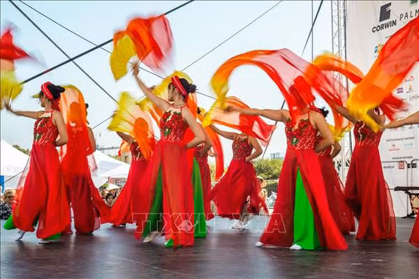 Représentation artistique lors de la Journée du Vietnam en Slovaquie. Photo: VNA