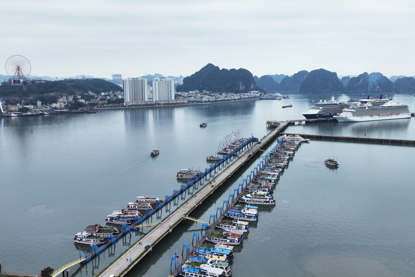 Les navires de croisière mouillent au port de croisière international d'Ha Long. Photo: baoquangninh.vn