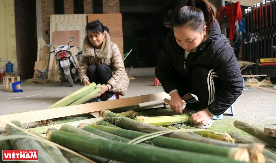 Des tubes de bambou de Tuyen Quang, Yen Bai, Dien Bien sont les matières premières pour la fabrication des éventails. Photo: Vietnam Illustré