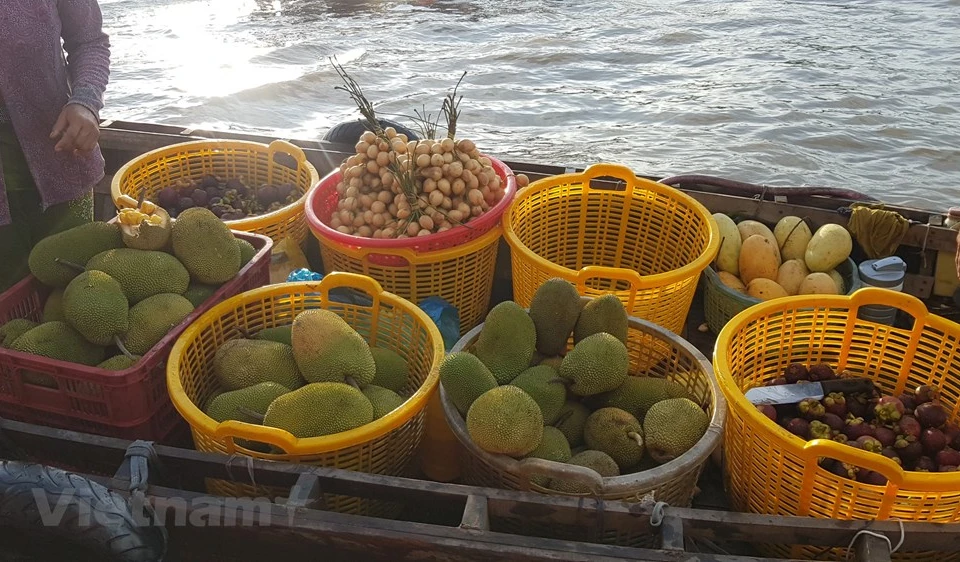 Caractéristiques propres du delta du Mékong, les marchés flottants sont partout sur la terre des neuf dragons. De Sai Gon au cap de Ca Mau, vous trouverez les marchés Cai Be à Tiên Giang, Cai Rang à Cân Tho, Phung Hiêp à Hâu Giang, Nga Nam à Soc Trang, Gành Hào, Thoi Binh à Cà Mau, etc. Un des trois plus grands marchés de la région Sud-Ouest est le marché flottant de Cai Rang, situé à seulement quelques kilomètres de la ville de Can Tho. Il est l'endroit le plus fréquenté et le plus typique de la culture fluviale de la région du Nam Bô occidental. Il vend principalement des produits agricoles typiques venus des provinces avoisinantes. Photo: VietnamPlus