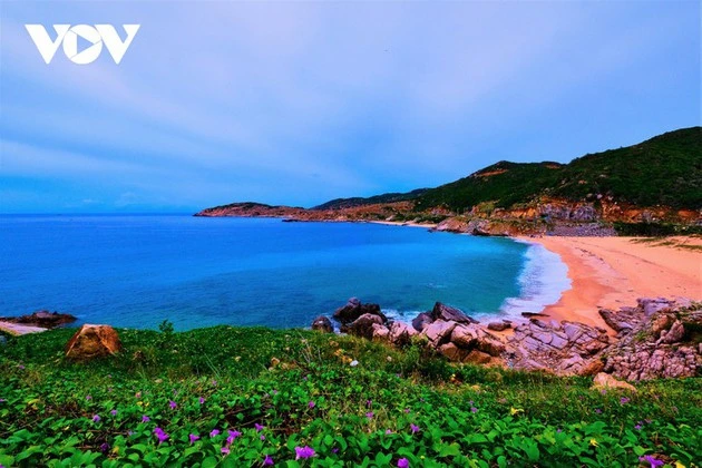 La première destination est la baie de Vinh Hy, située à environ 20 kilomètres du centre-ville de Phan Rang-Thap Chàm.Photo: VOV