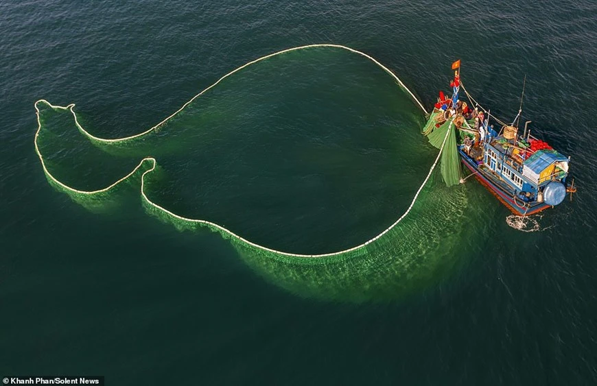 Les pêcheurs d’anchois partent en mer tous les jours. Photo : Daily Mail