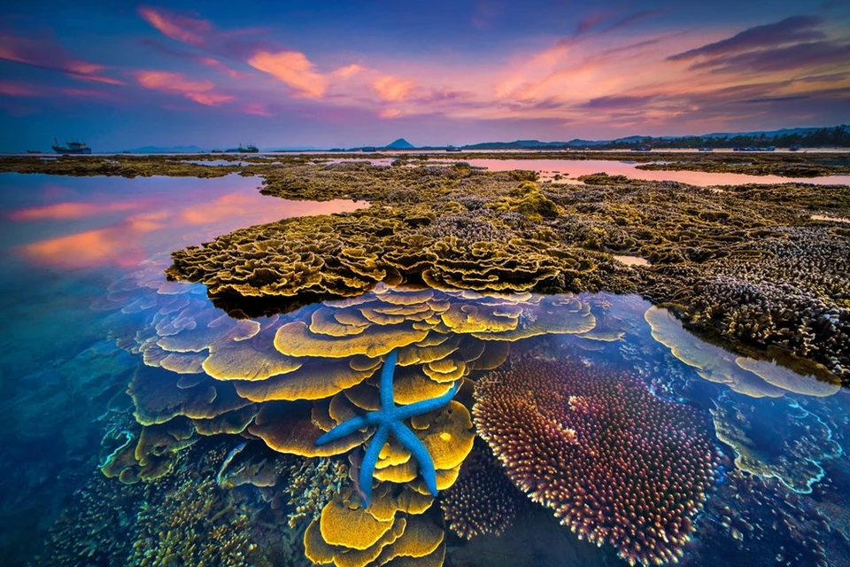 Le cliché « Couleurs de la mer » du photographe Tran Bao Hoa gagne le 1er prix.