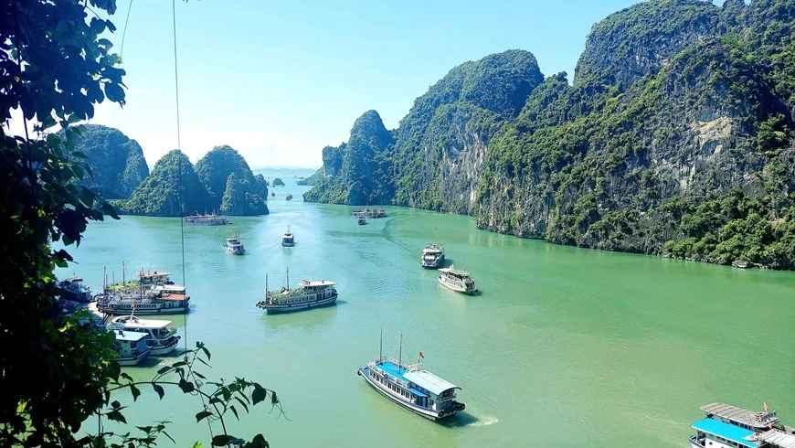 La baie de Ha Long, littéralement «baie du dragon descendant», a été reconnue comme site du patrimoine mondial de l'UNESCO en 1994 et 2000. Photo: VNA