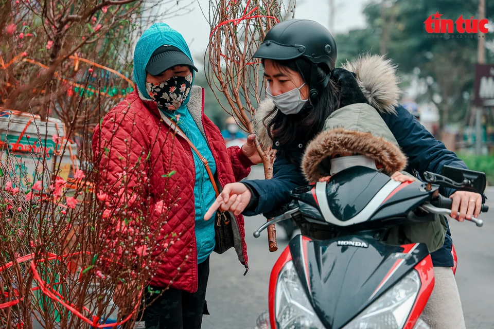  Les branches de pêcher se vendent au prix de 100.000 dongs à plusieurs millions selon la taille, la densité de fleurs...