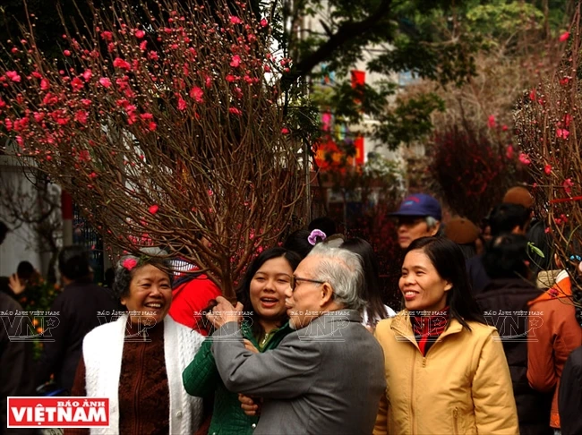 Le marché aux fleurs de Hàng Luoc à l’approche du Têt. 