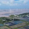 Un projet éolien en mer dans la commune de Dong Hai, province de Ca Mau. Photo : VNA