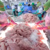 Tri et congélation de filets de pangasius destinés à l’exportation dans une usine de l’ancienne province de Tien Giang. Photo : VNA