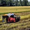 Utilisation de machines agricoles pour la récolte du riz d’été-automne. Photo d’illustration : VNA
