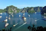 La baie de Ha Long, une destination unique dans la vie