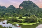 Le site écologique du jardin aux oiseaux de Thung Nham à Ninh Binh