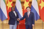 Entrevue entre Vuong Dinh Hue et Julius Maada Bio