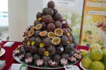 Le fruit de la passion est le cinquième fruit vietnamien à être officiellement exporté vers le marché australien. Photo: VNA