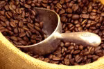 Le café Robusta du Vietnam à la conquête du marché japonais