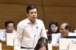 Le député Tran Anh Tuan, de Ho Chi Minh-Ville, lors de la séance dans la matinée du 11 novembre dans le cadre de la 8e session de la 15e législature de l’Assemblée nationale. Photo : VNA