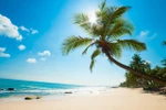 Tourisme : Phu Quoc table sur 1,8 millions de touristes en 2017