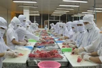 Les Américains friands de thon vietnamien