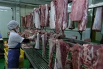 Des solutions pour lutter contre la peste porcine africaine discutées
