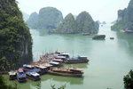Des solutions contre la «surcharge» en haute saison de la baie de Ha Long