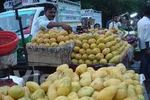 Les Etats-Unis vont autoriser l'importation de mangues du Vietnam 