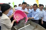 Vietnam et Chine relâchent des géniteurs dans le golfe du Bac Bo