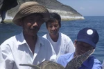Projet d'écloserie pour favoriser le retour des tortues de mer à Cu Lao Cham