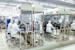 Les investissements vietnamiens à l'étranger en hausse en huit mois