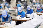Les PME au Vietnam sont très appréciées pour l'engagement de leurs employés