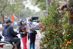 Têt : le marché aux fleurs de Quang An est en effervescence
